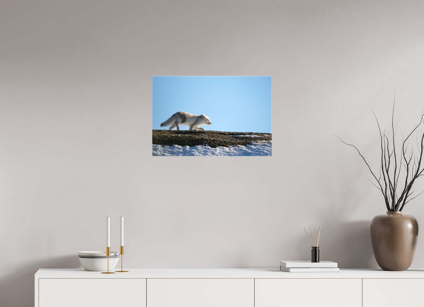 24 x 16″, Glossy Canvas with Wrapped Edges Arctic Fox on Ridge, 24x16