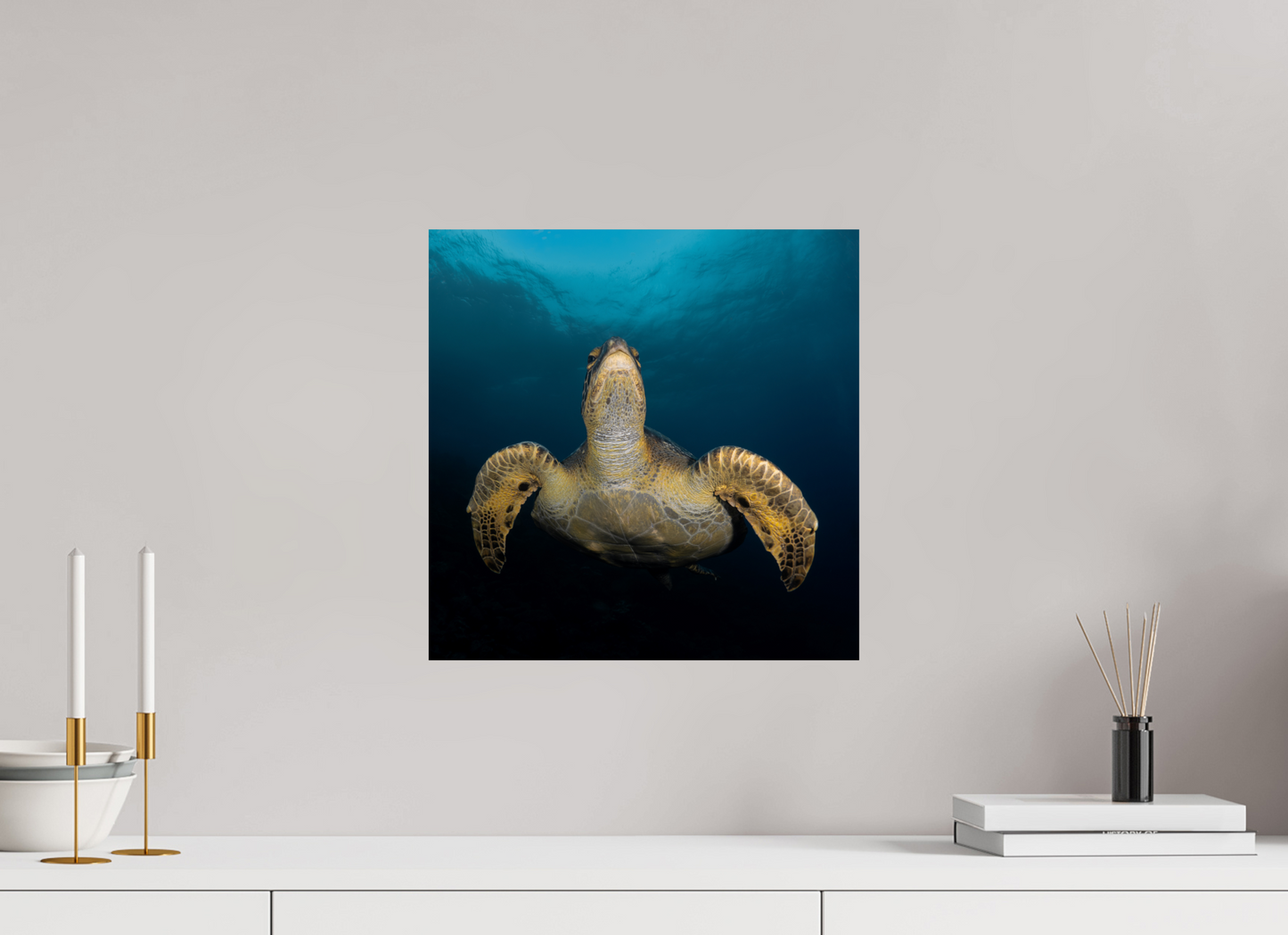 Sea Turtle