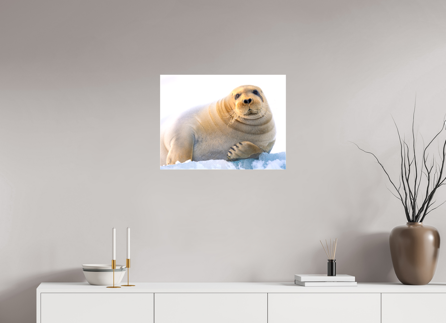 24 x 18″, Glossy Canvas with Wrapped Edges Bearded Seal, 24x18