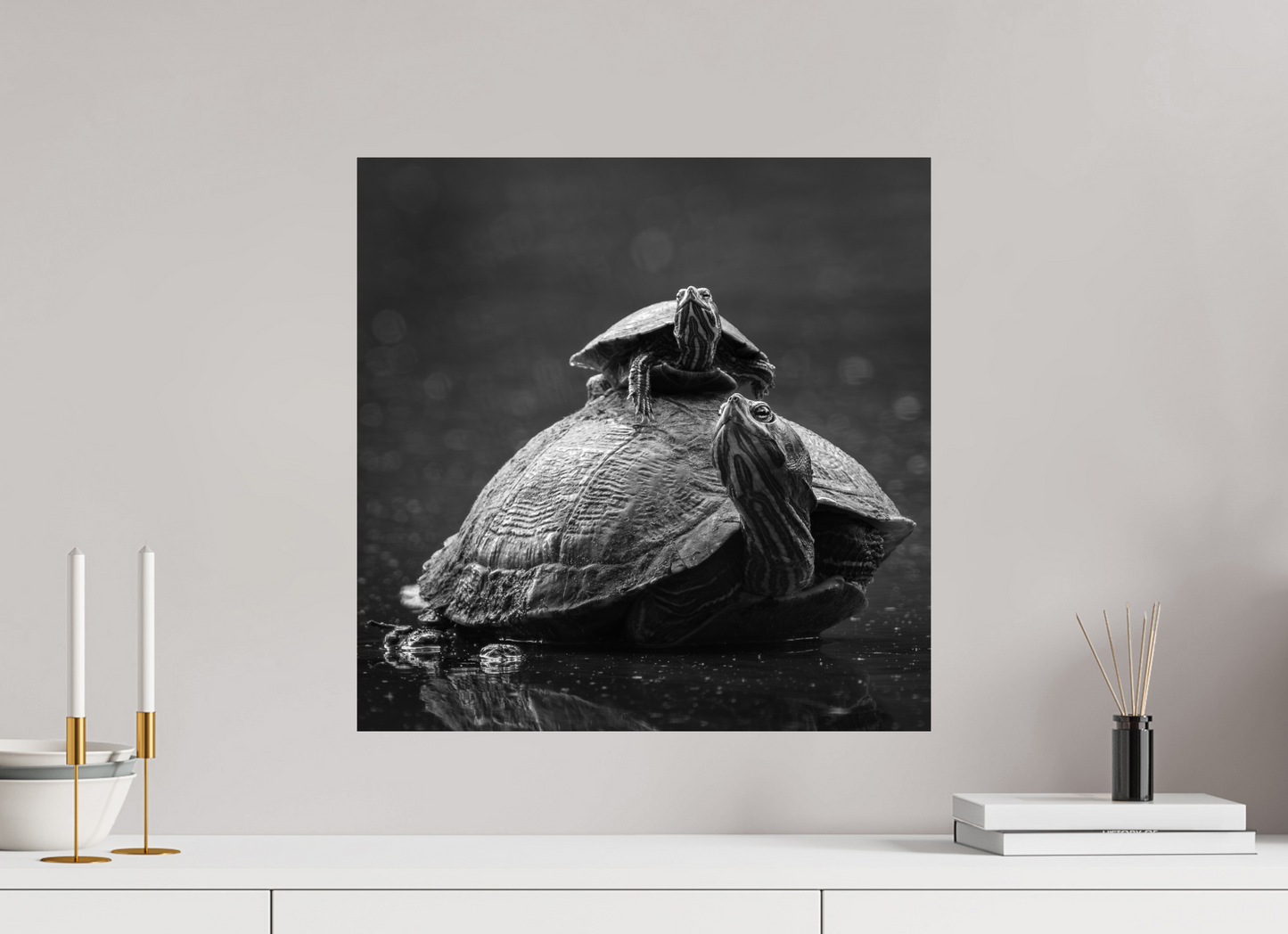 Turtle Tower