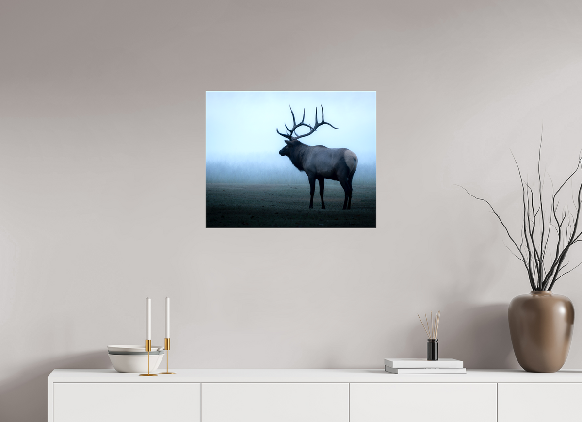 25 x 20″, Glossy Canvas with Wrapped Edges Elk in Fog