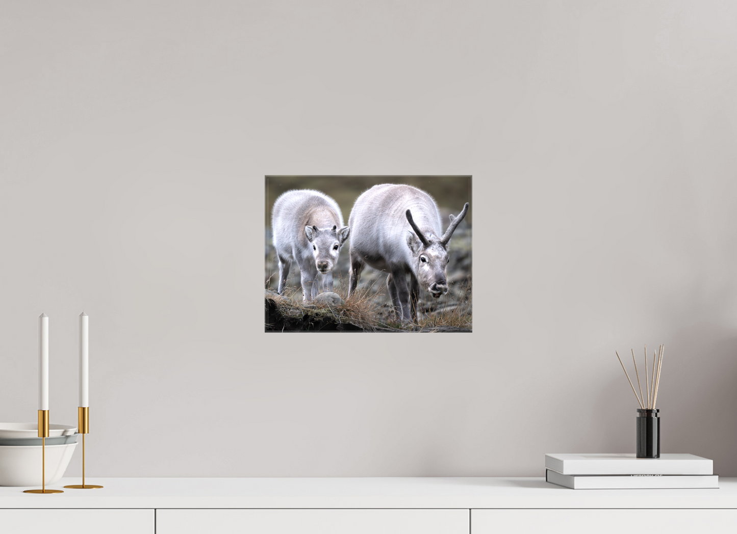 12 x 9″, Glossy Canvas with Wrapped Edges Reindeer Mother and Calf, 12x9