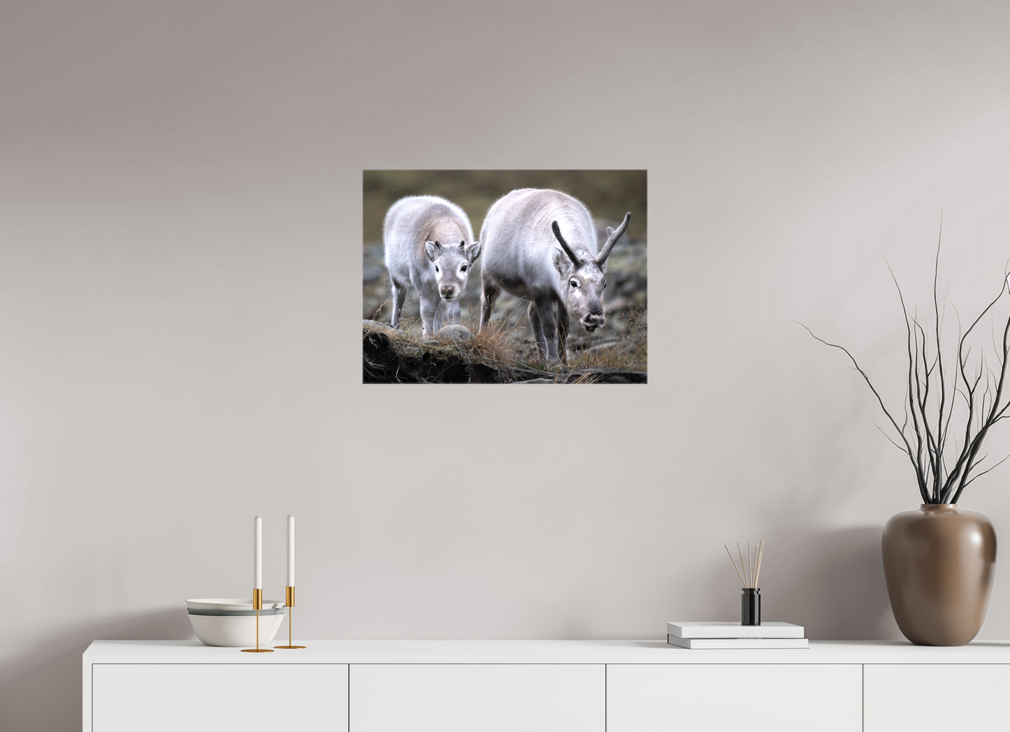 24 x 18″, Glossy Canvas with Wrapped Edges Reindeer Mother and Calf, 24x18