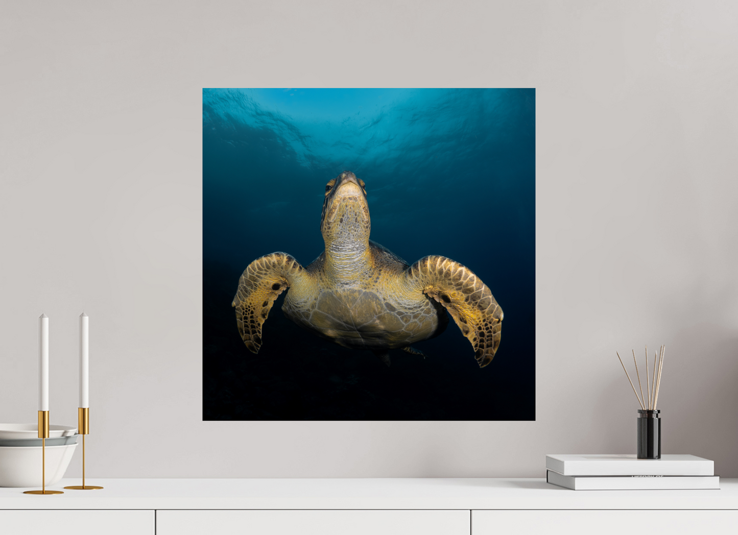 Sea Turtle
