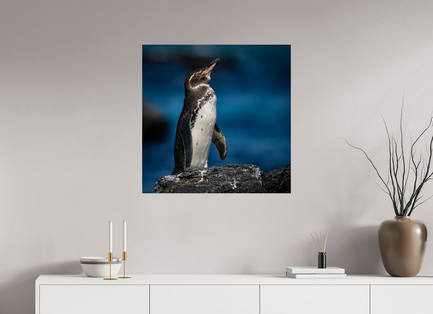 Galapagos Penguin