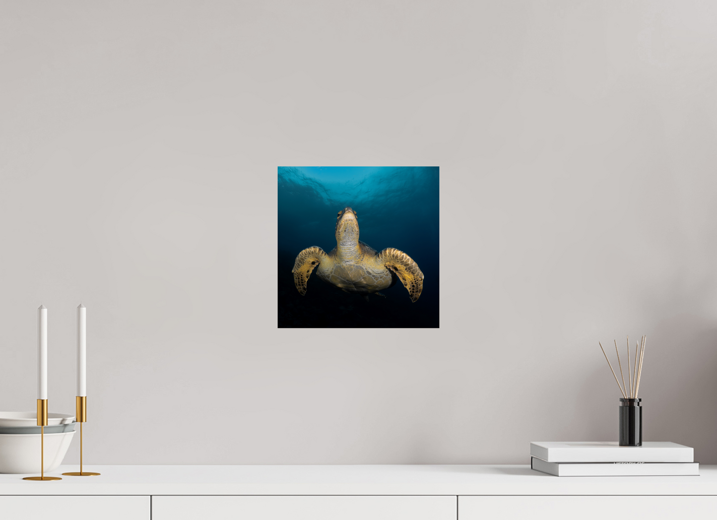 Sea Turtle