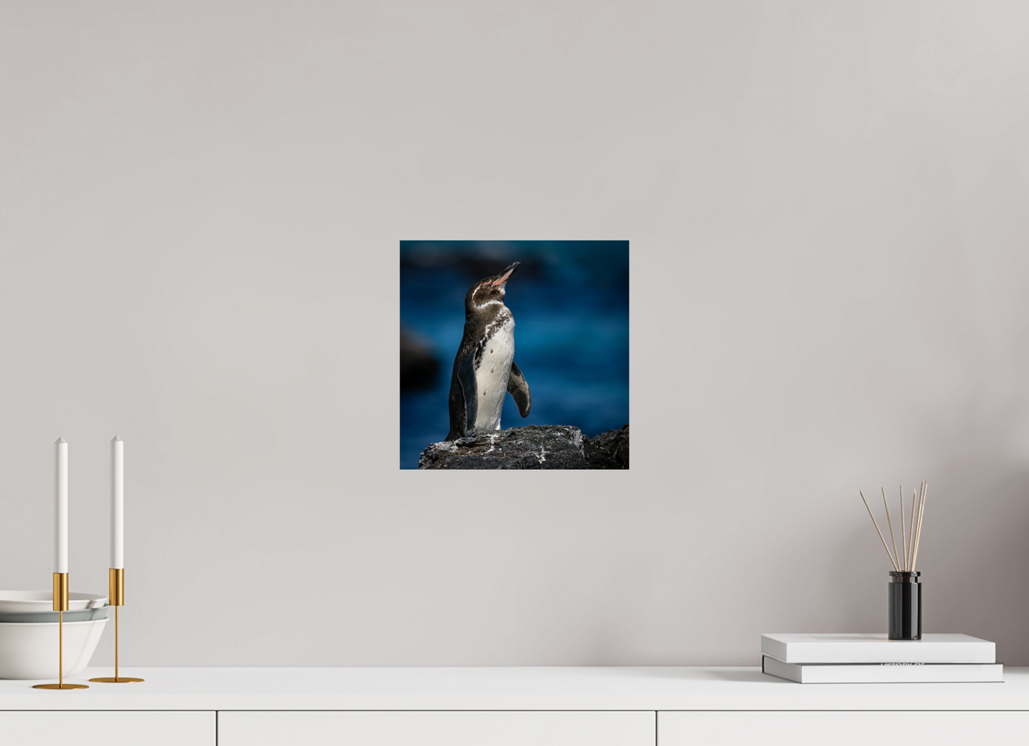Galapagos Penguin