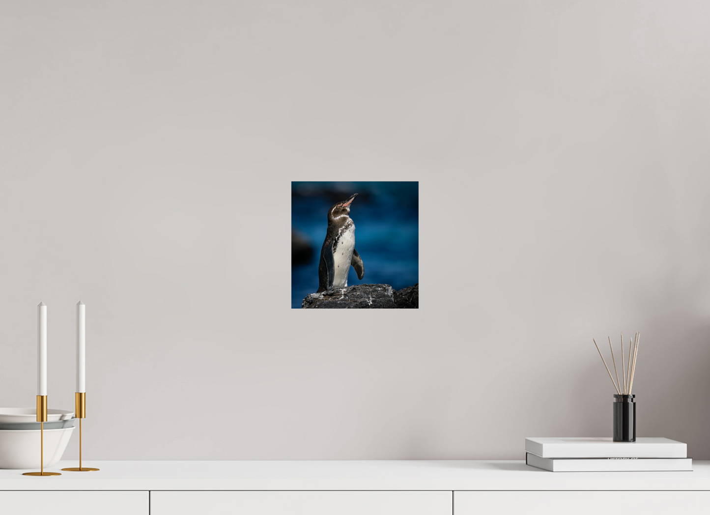 Galapagos Penguin