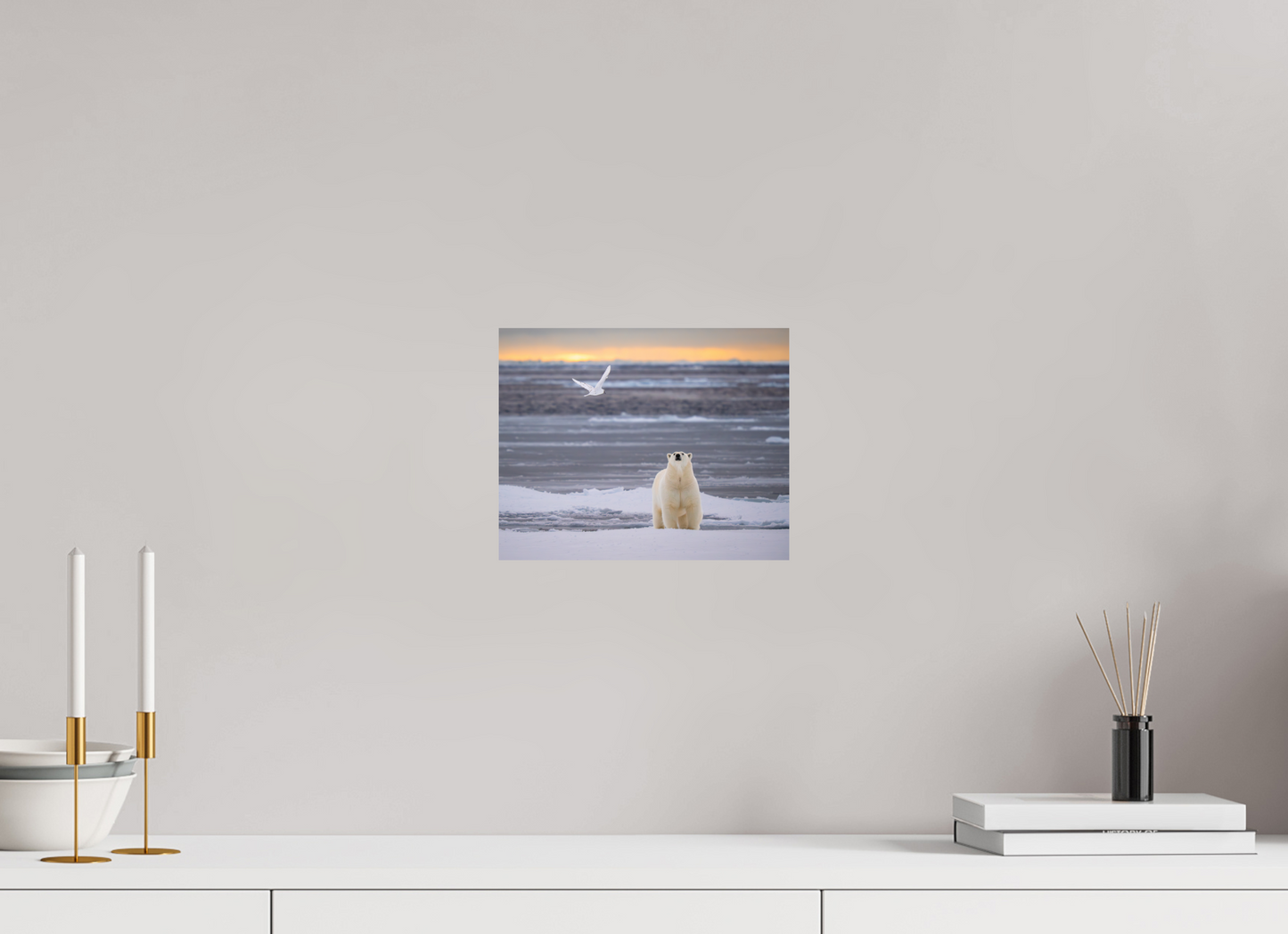 10 x 8″, ChromeLuxe HD Metal Print Polar Bear and Ivory Gull, 10x8