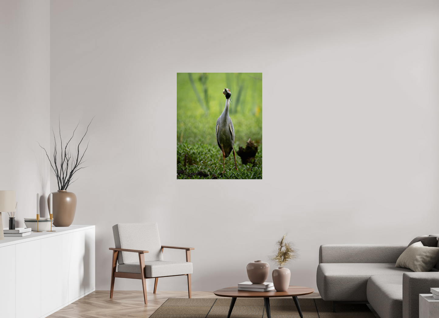 Yellow-crowned Night Heron