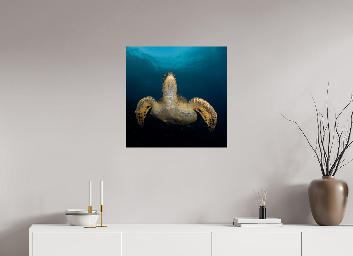 Sea Turtle