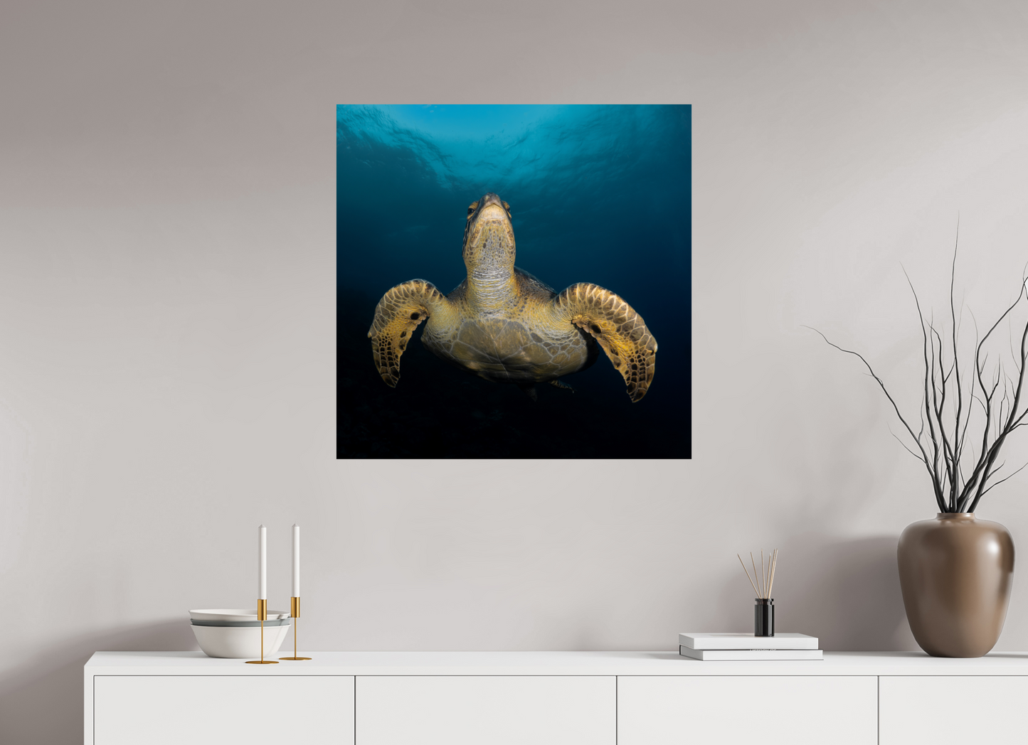 Sea Turtle