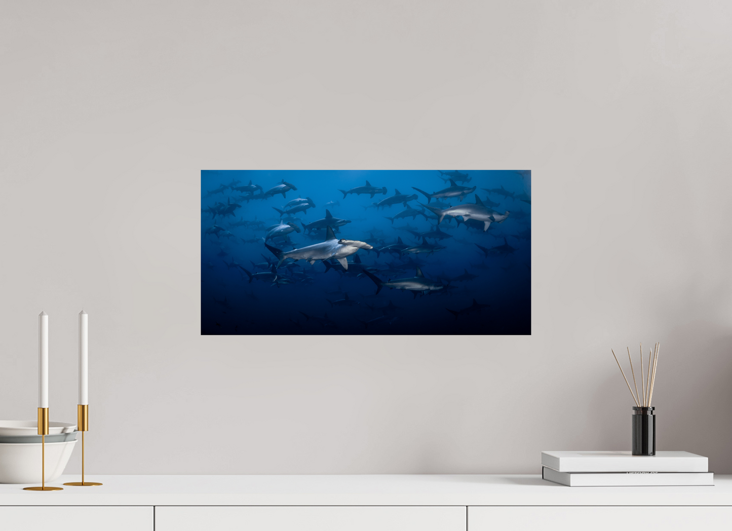 Hammerhead Sharks