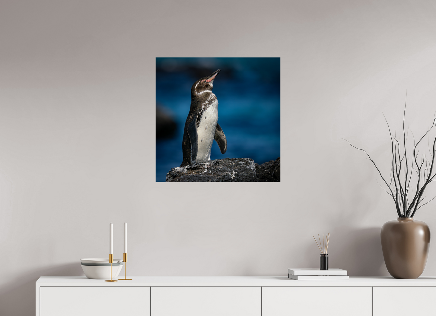 Galapagos Penguin