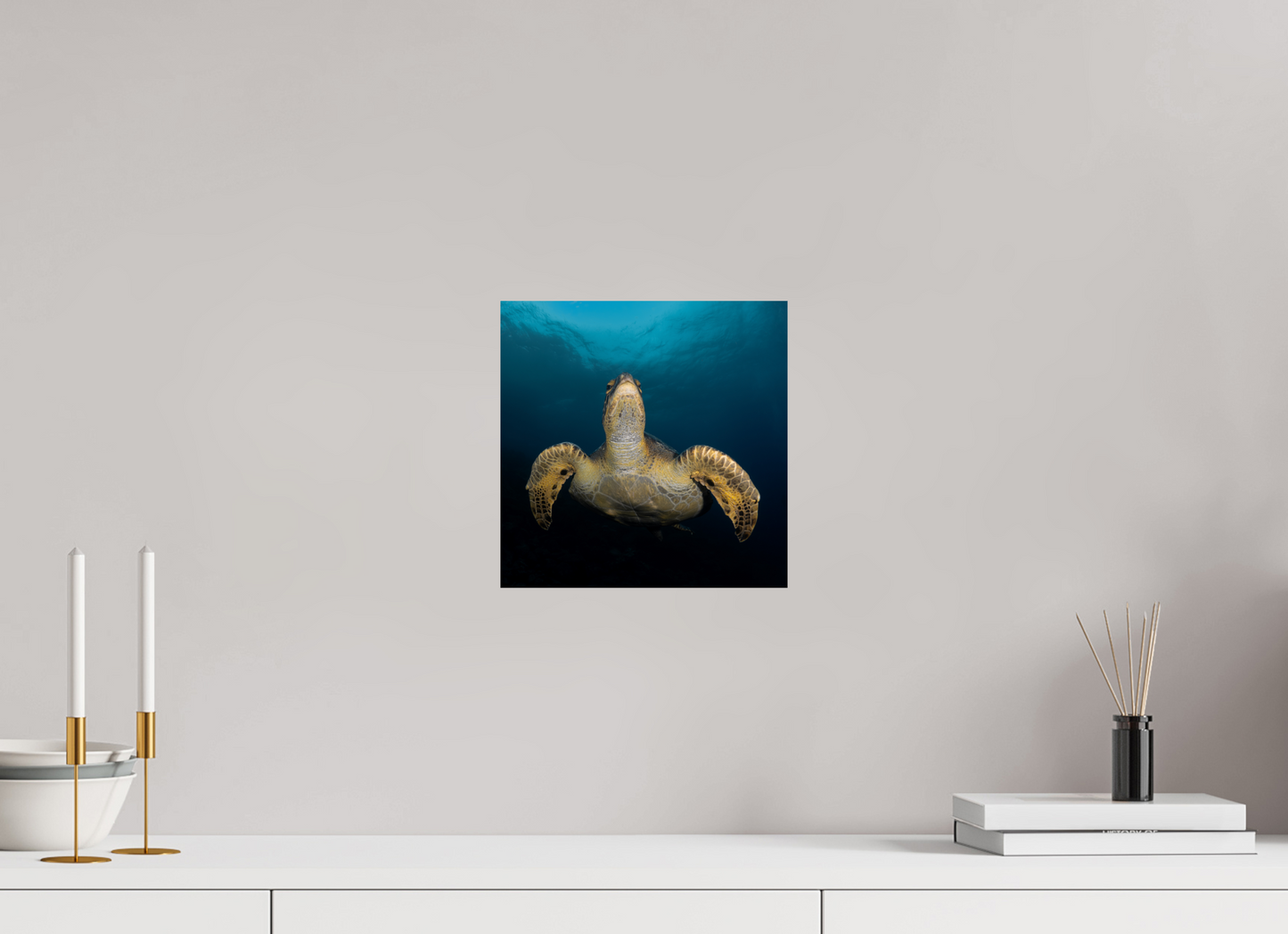 Sea Turtle