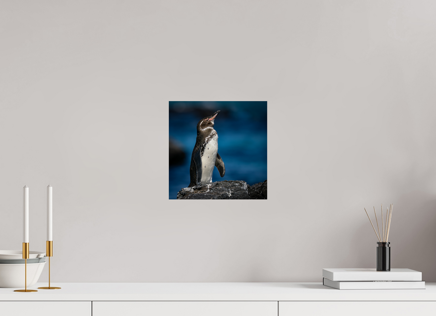 Galapagos Penguin