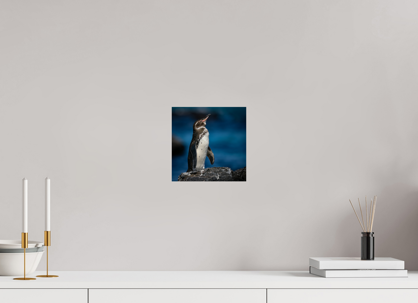 Galapagos Penguin