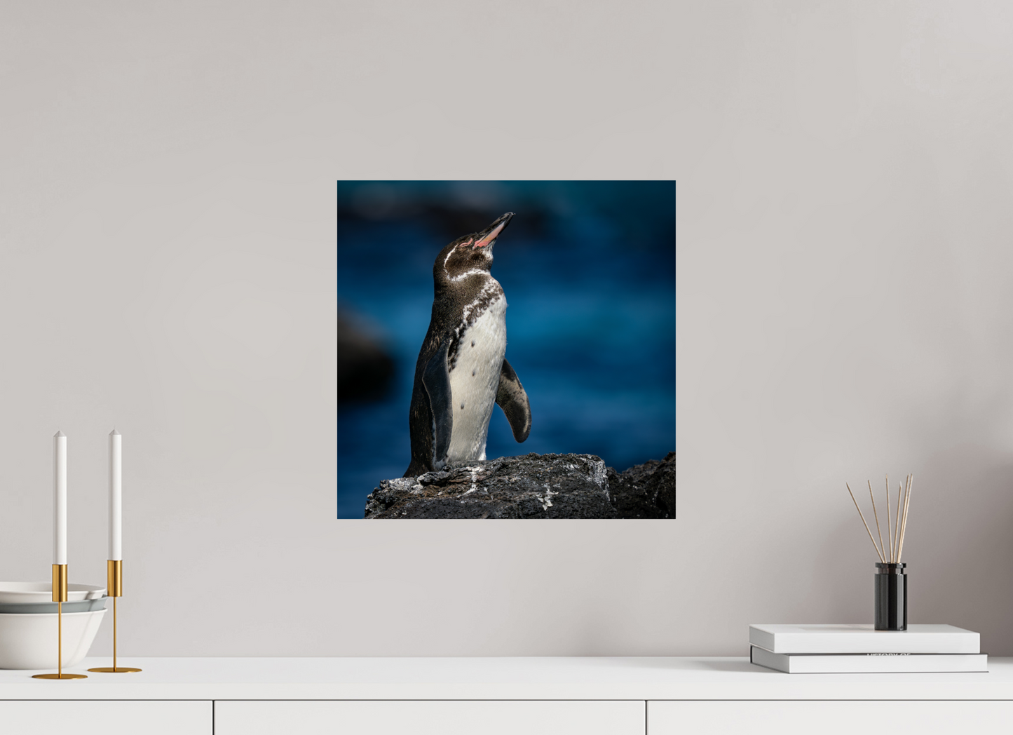 Galapagos Penguin