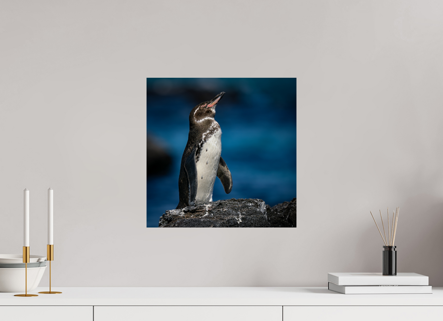 Galapagos Penguin