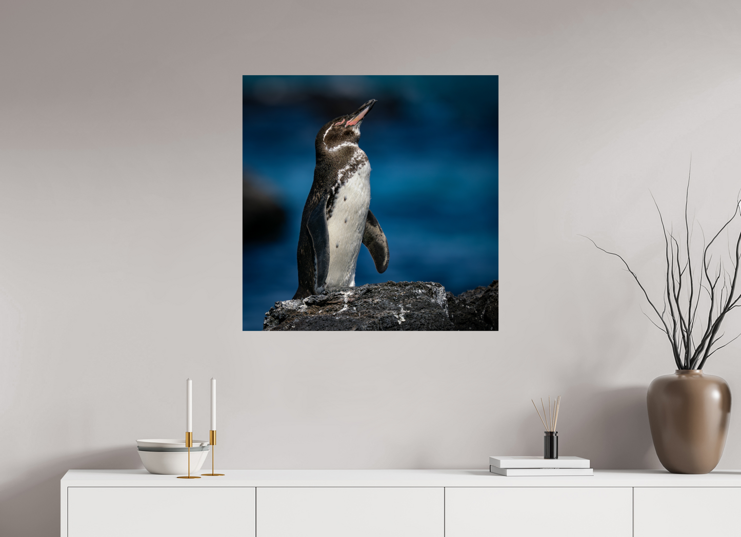 Galapagos Penguin