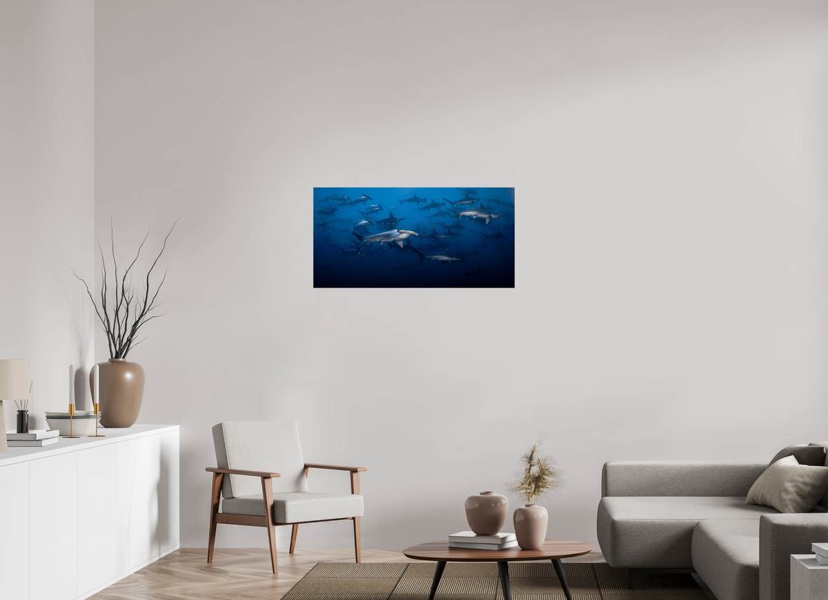 40 x 20″, Fine Art Print on Hahnemühle Baryta Hammerhead Sharks