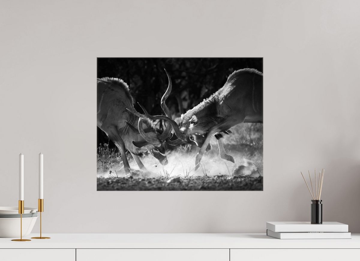 20 x 16″, Glossy Canvas with Wrapped Edges Kudu Clash