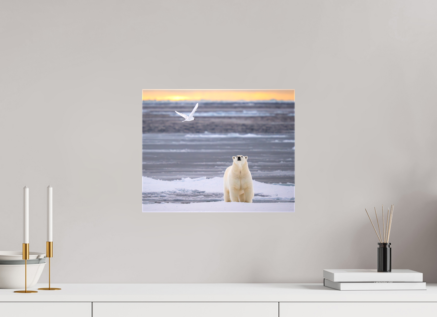15 x 12″, Glossy Canvas with Wrapped Edges Polar Bear and Ivory Gull, 15x12