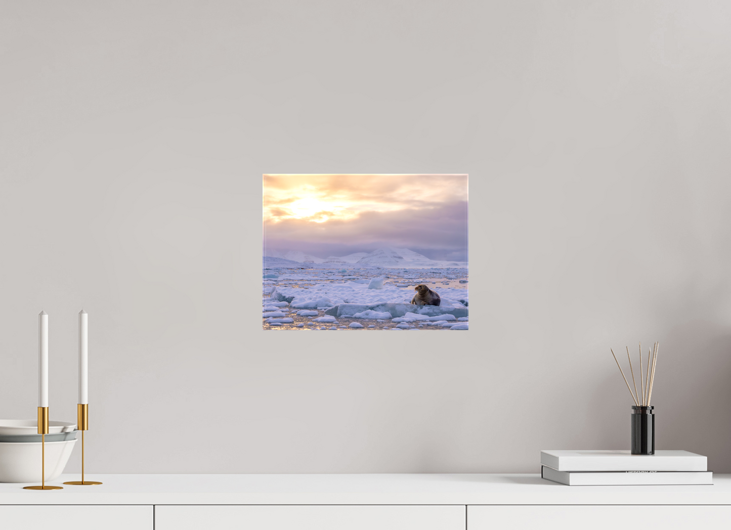 12 x 9″, Glossy Canvas with Wrapped Edges Bearded Seal at Sunset, 12x9