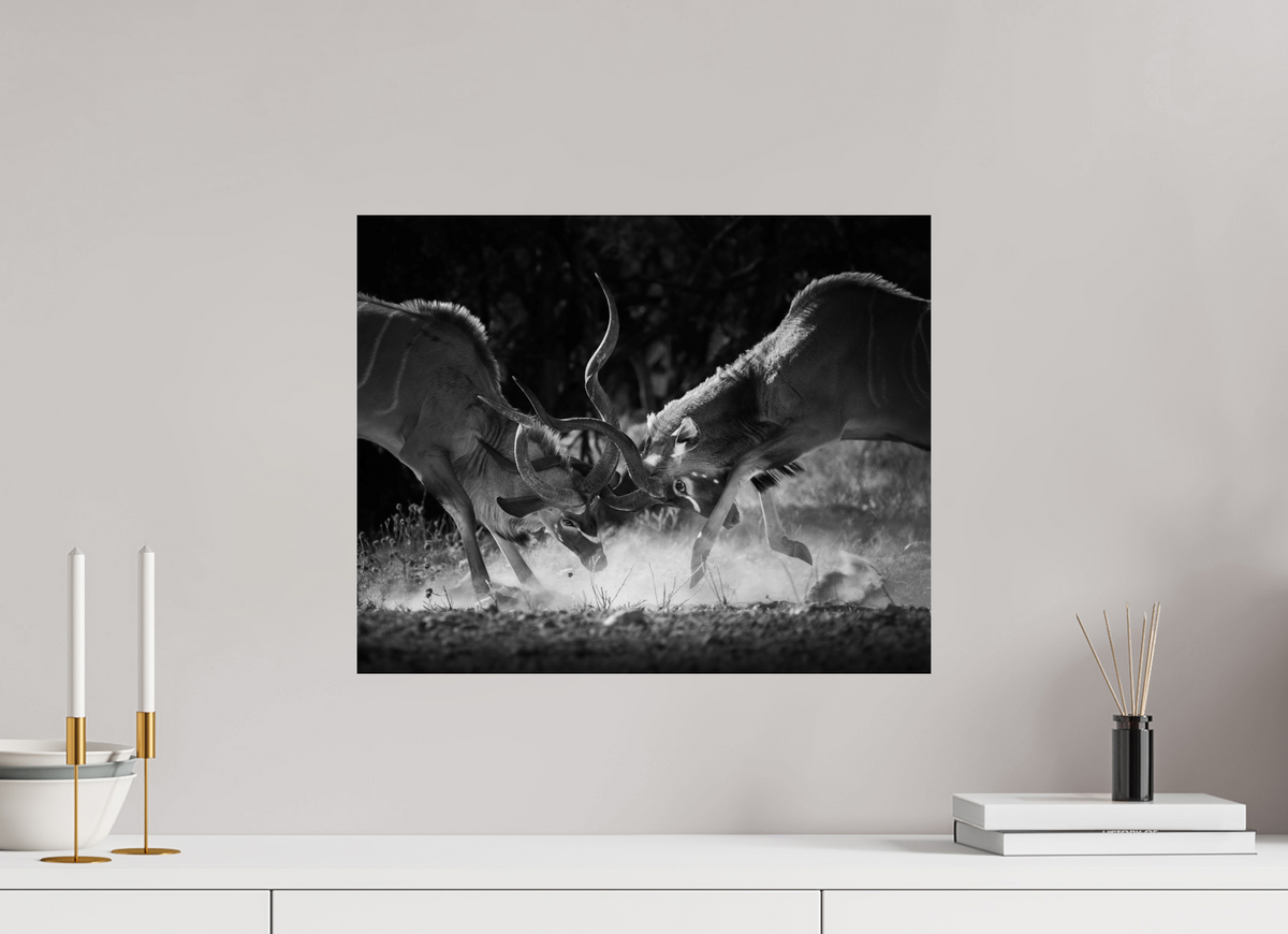20 x 16″, Budget Print on Fuji Crystal DP II Kudu Clash