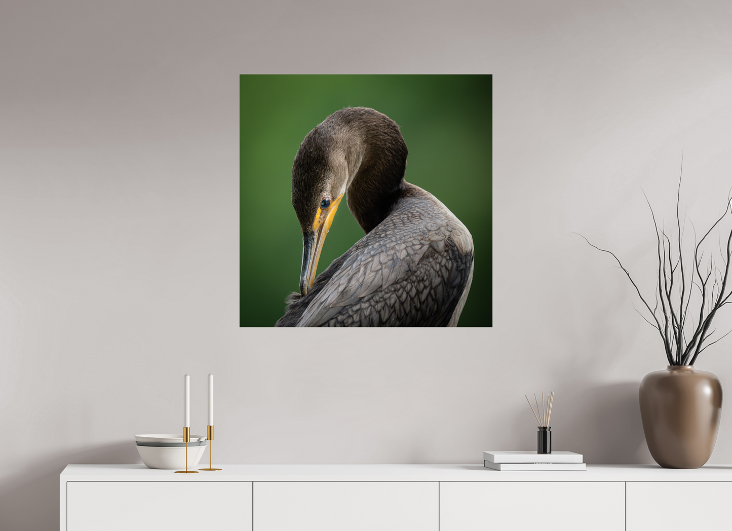 Double-crested Cormorant