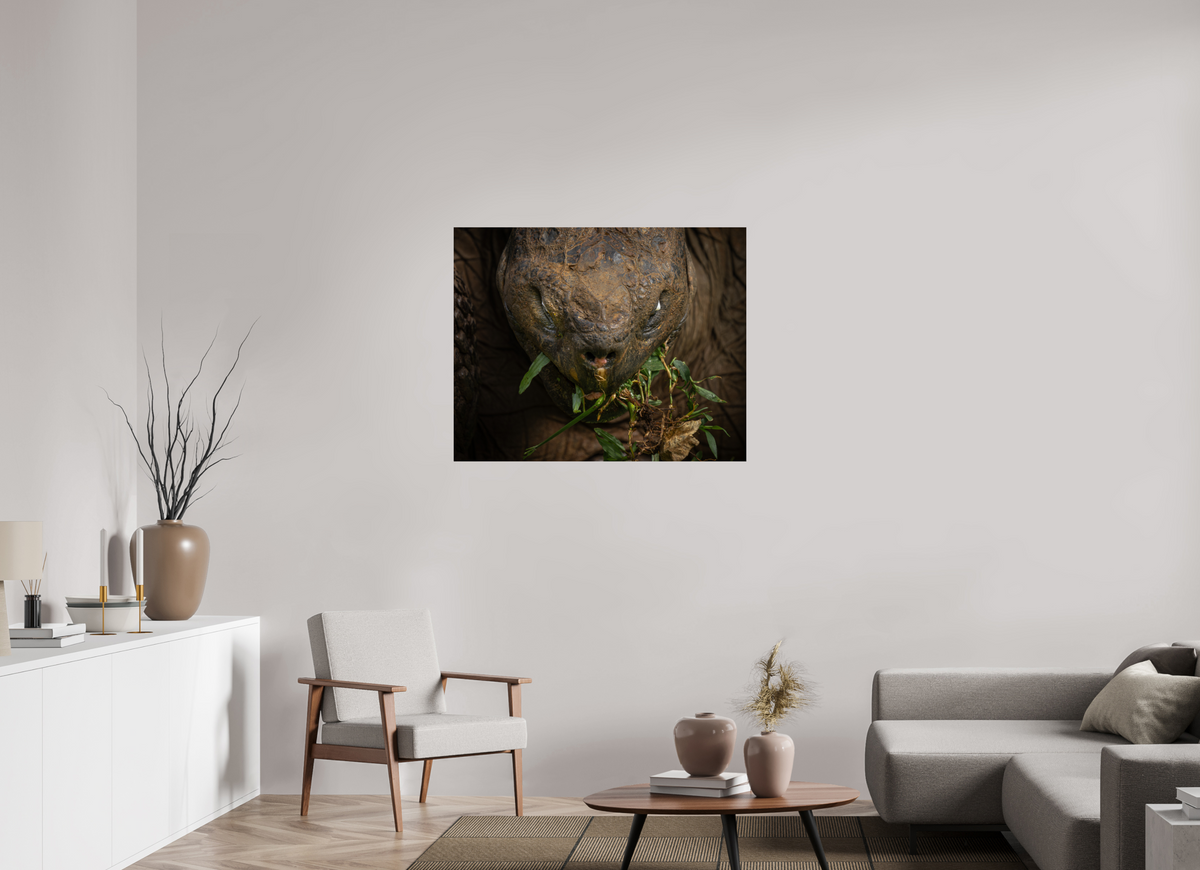 40″ x 32″, ChromeLuxe HD Metal Print Galapagos Giant Tortoise