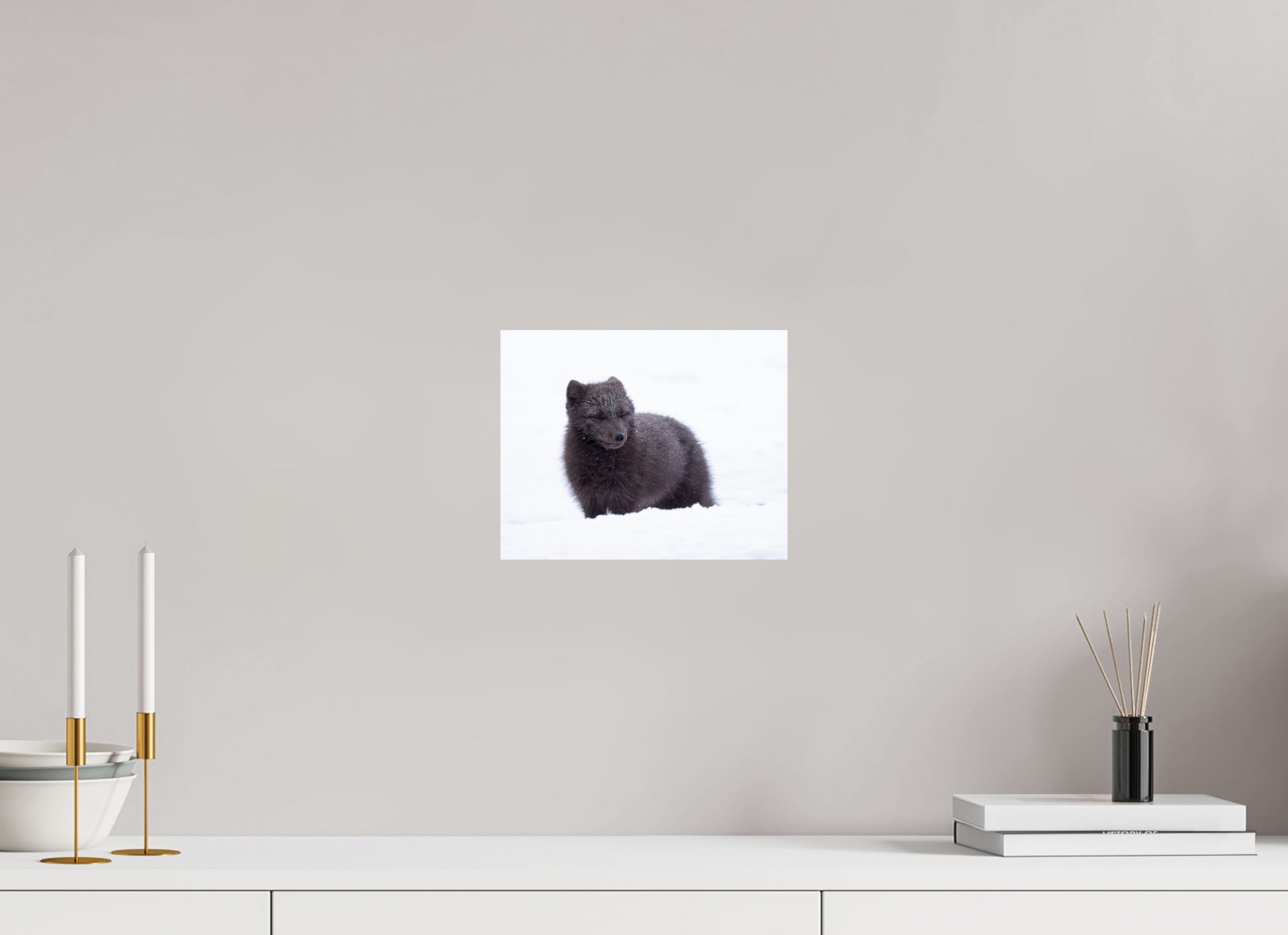10 x 8″, Fine Art Print on Hahnemühle Baryta Blue Arctic Fox, 10x8