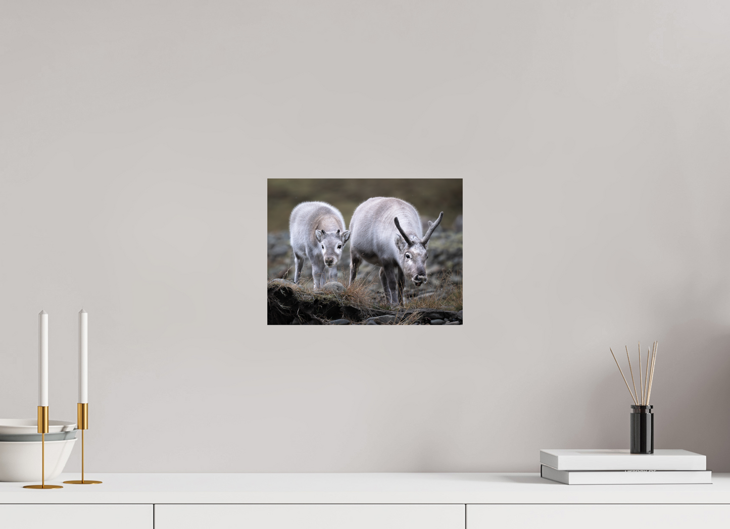 12 x 9″, Fine Art Print on Hahnemühle Baryta Reindeer Mother and Calf, 12x9