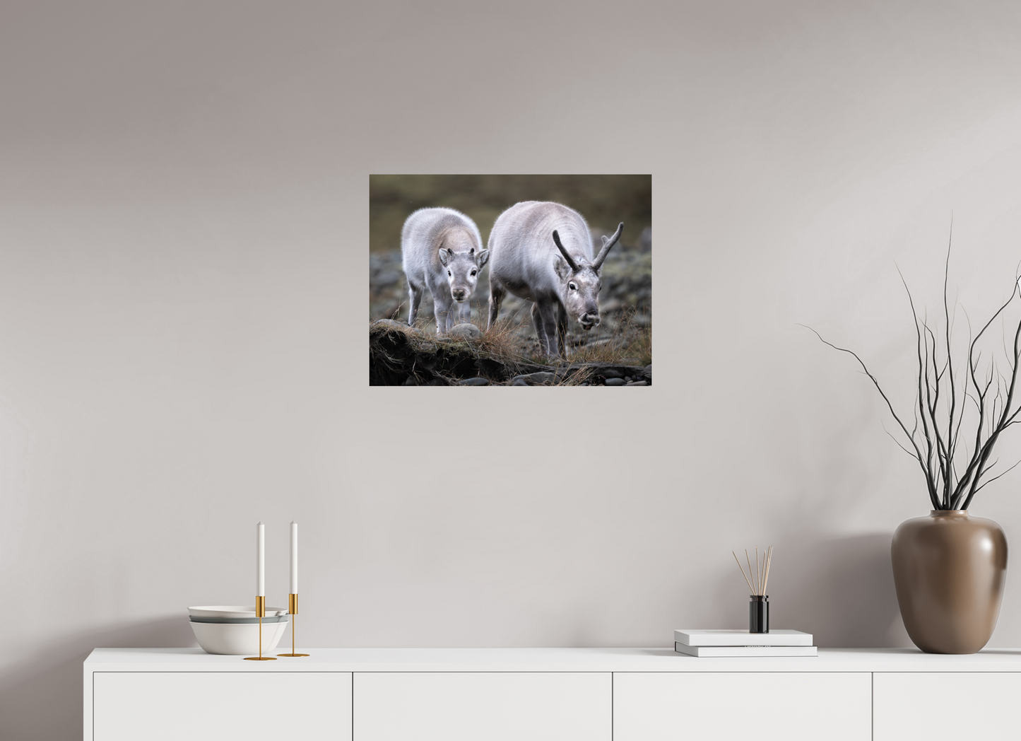 24 x 18″, ChromeLuxe HD Metal Print Reindeer Mother and Calf, 24x18