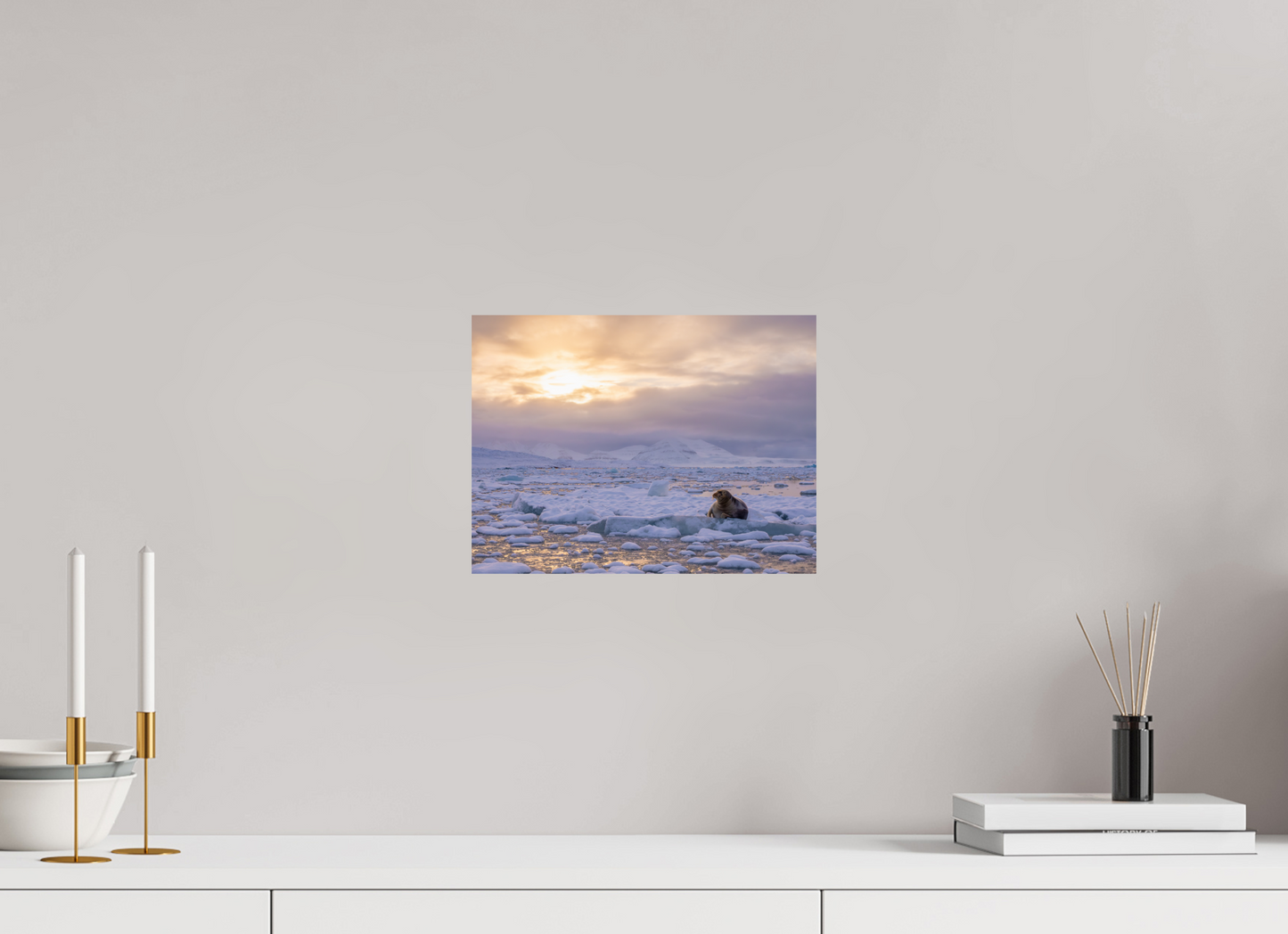 12 x 9″, Fine Art Print on Hahnemühle Baryta Bearded Seal at Sunset, 12x9