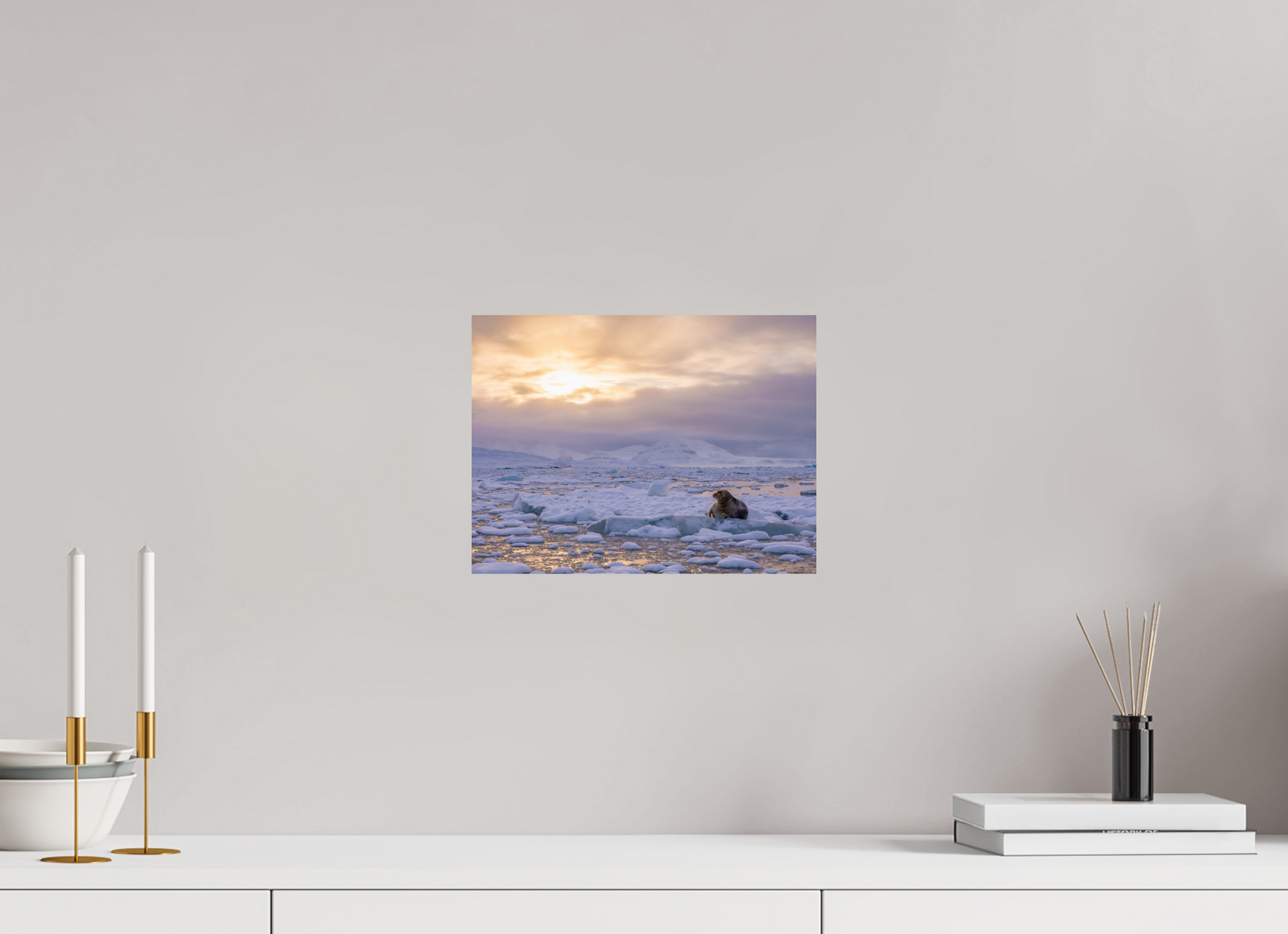 12 x 9″, Fine Art Print on Hahnemühle Baryta Bearded Seal at Sunset, 12x9