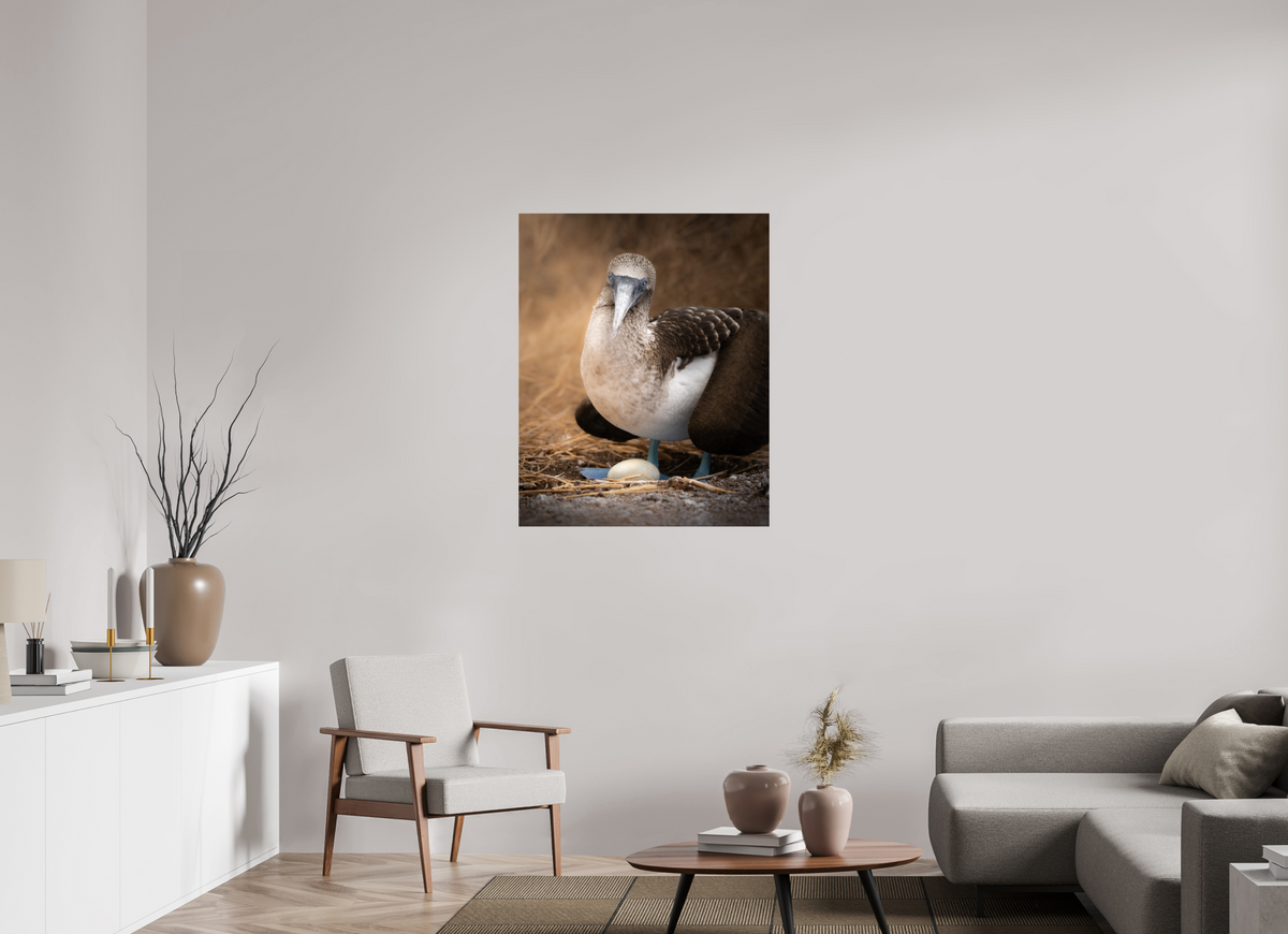 32 x 40″, Fine Art Print on Hahnemühle Baryta Blue Footed Booby with Egg