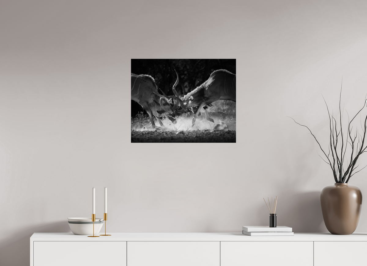 25 x 20″, Budget Print on Fuji Crystal DP II Kudu Clash