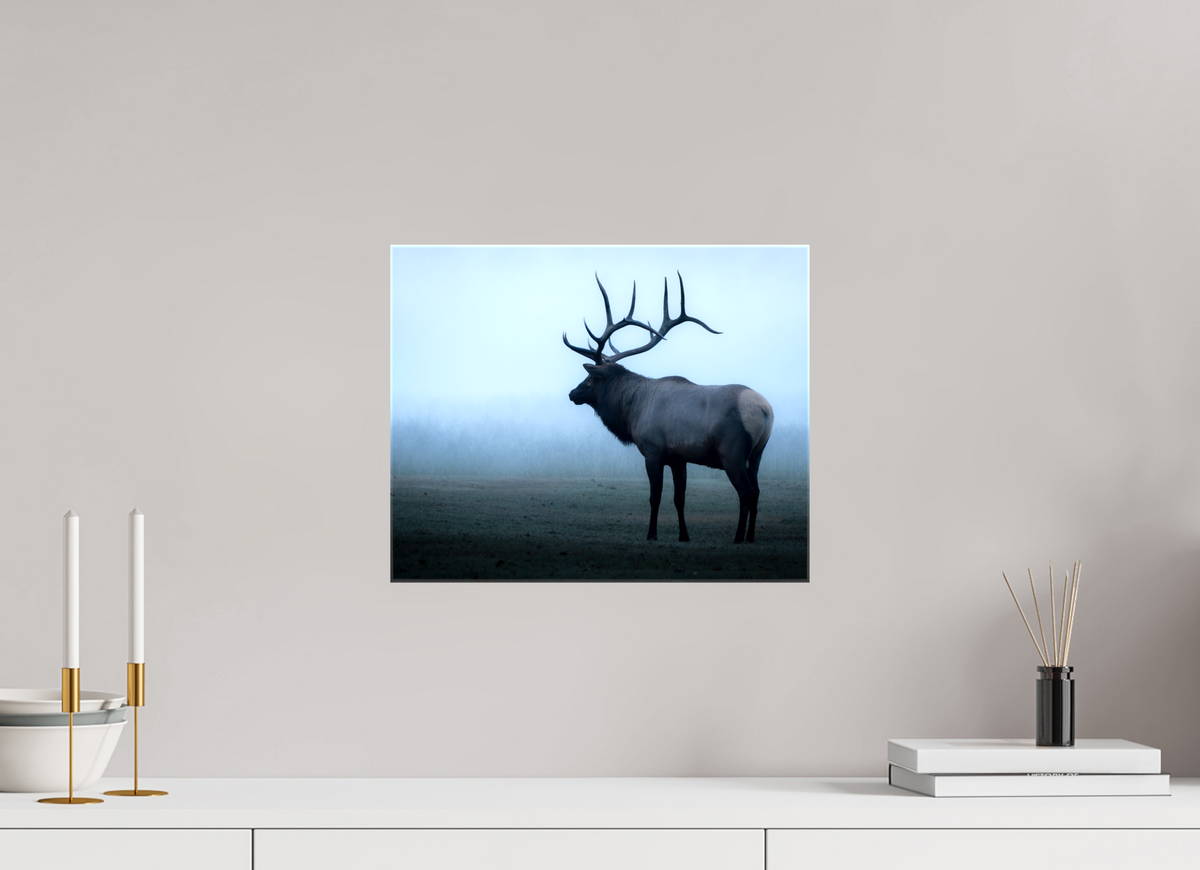 15 x 12″, Glossy Canvas with Wrapped Edges Elk in Fog