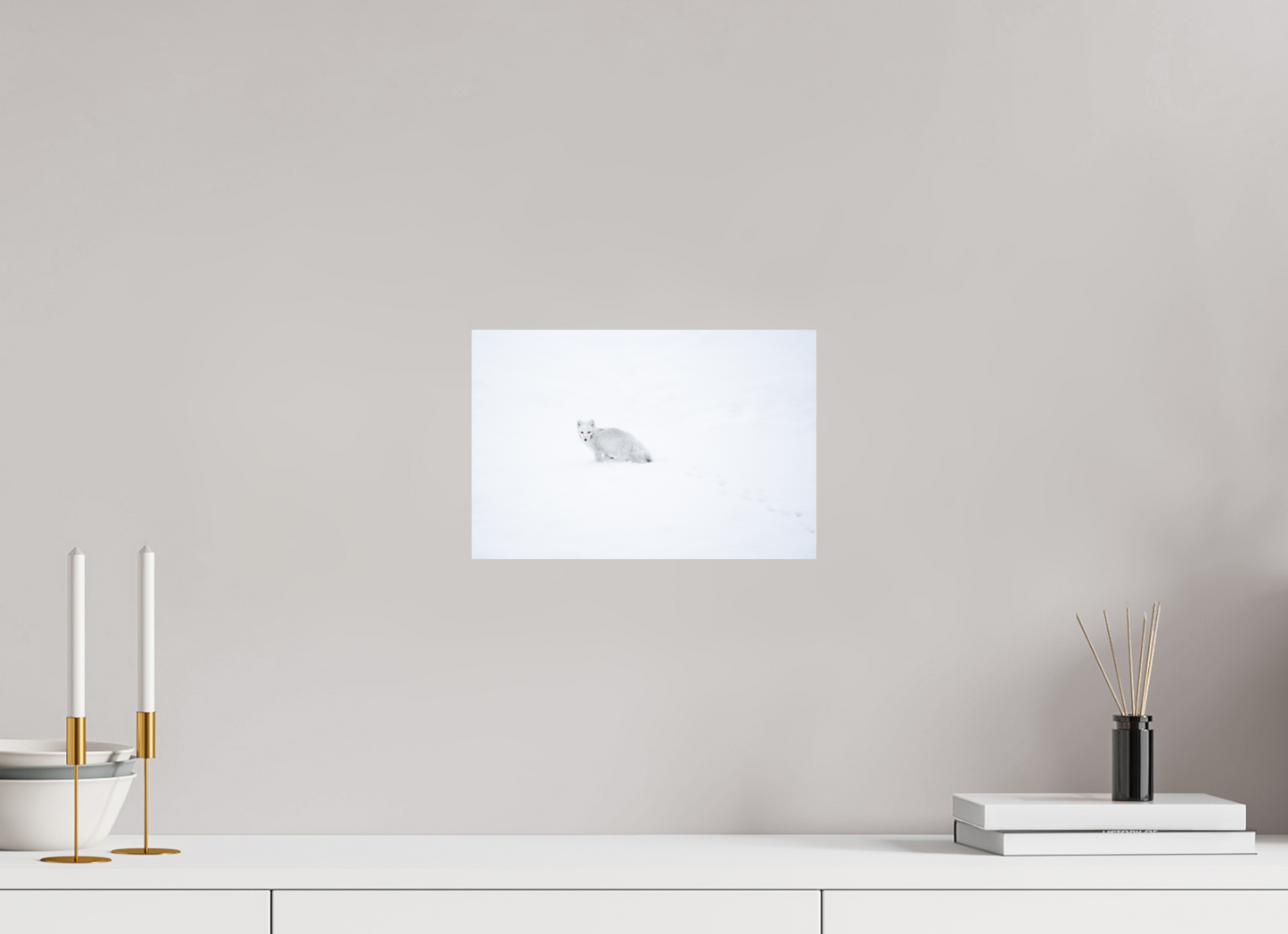 12 x 8″, Fine Art Print on Hahnemühle Baryta White Arctic Fox in Snow, 12x8