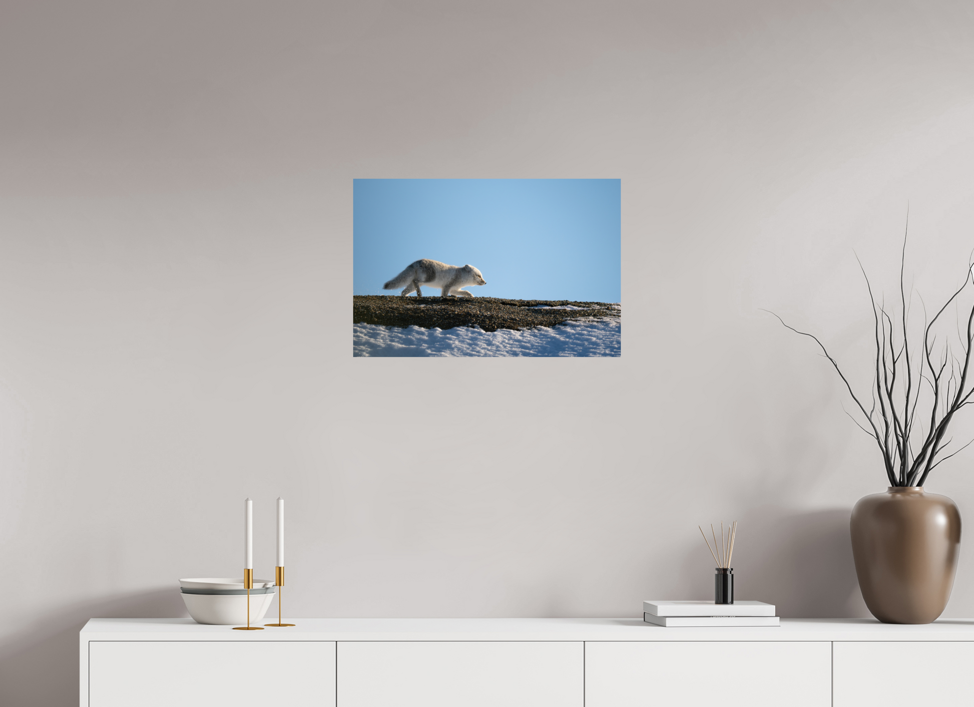 24 x 16″, Fine Art Print on Hahnemühle Baryta Arctic Fox on Ridge, 24x16