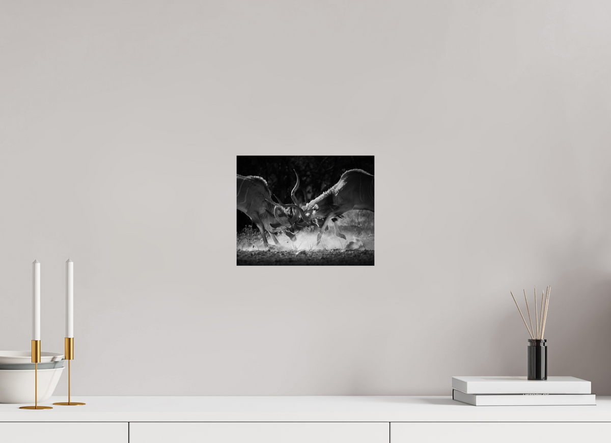 10 x 8″, ChromeLuxe HD Metal Print Kudu Clash