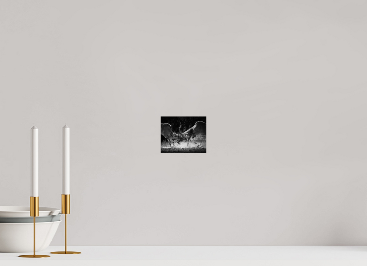 5 x 4″, Fine Art Print on Hahnemühle Baryta Kudu Clash