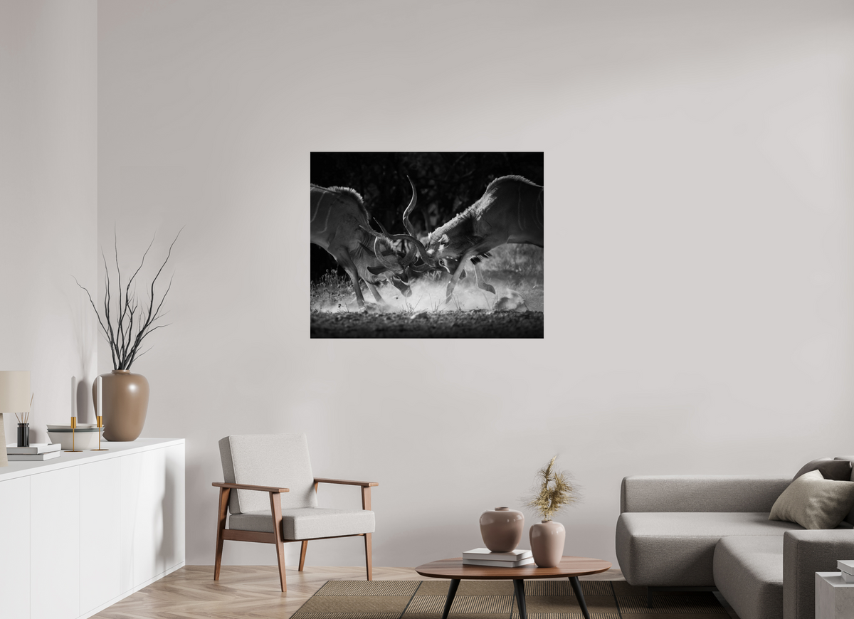 45 x 36″, Fine Art Print on Hahnemühle Baryta Kudu Clash
