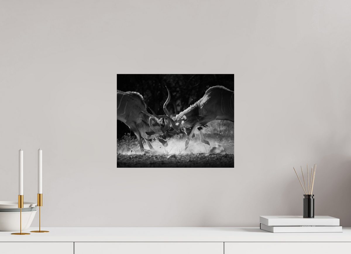 15 x 12″, Fine Art Print on Hahnemühle Baryta Kudu Clash