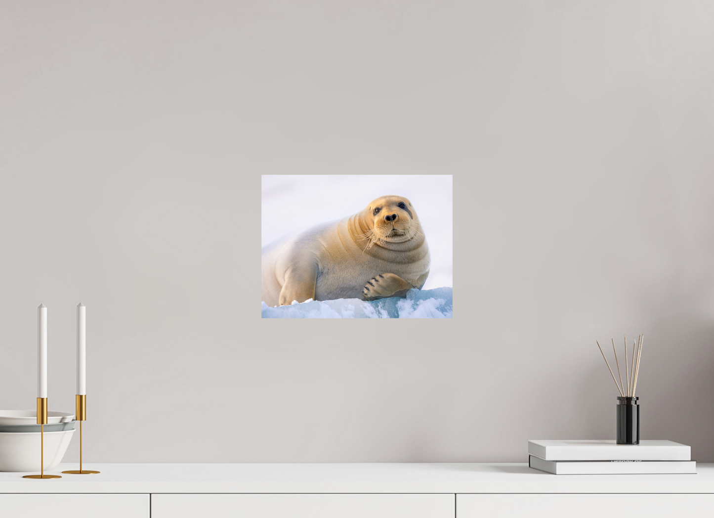 12 x 9″, Fine Art Print on Hahnemühle Baryta Bearded Seal, 12x9