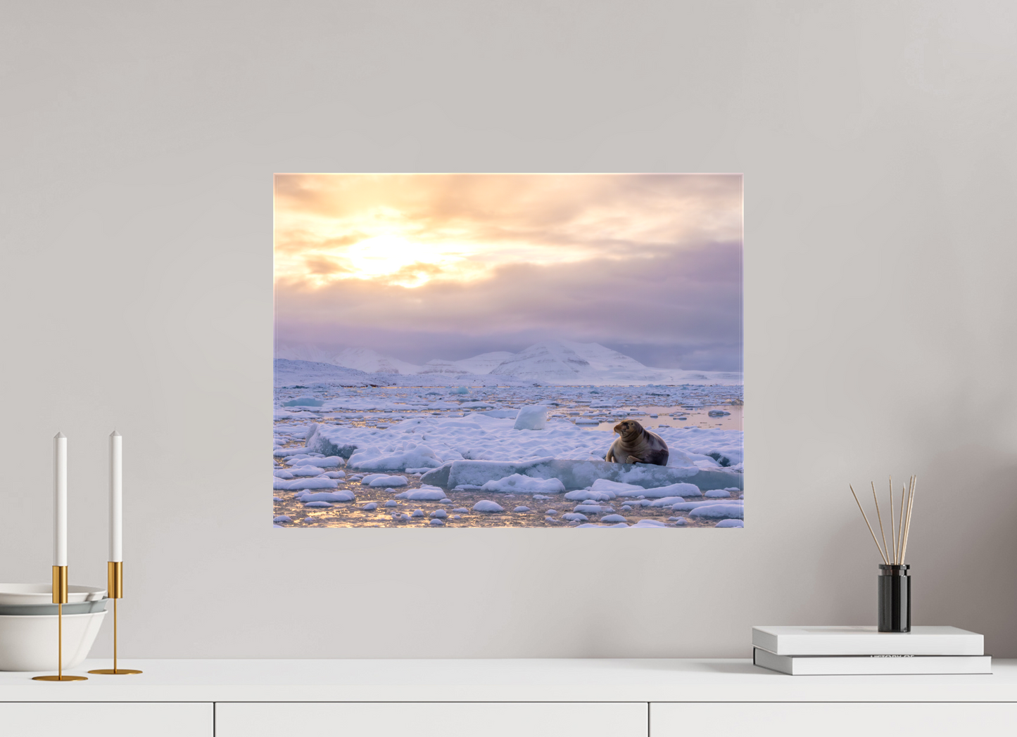 20 x 15″, Glossy Canvas with Wrapped Edges Bearded Seal at Sunset, 20x15