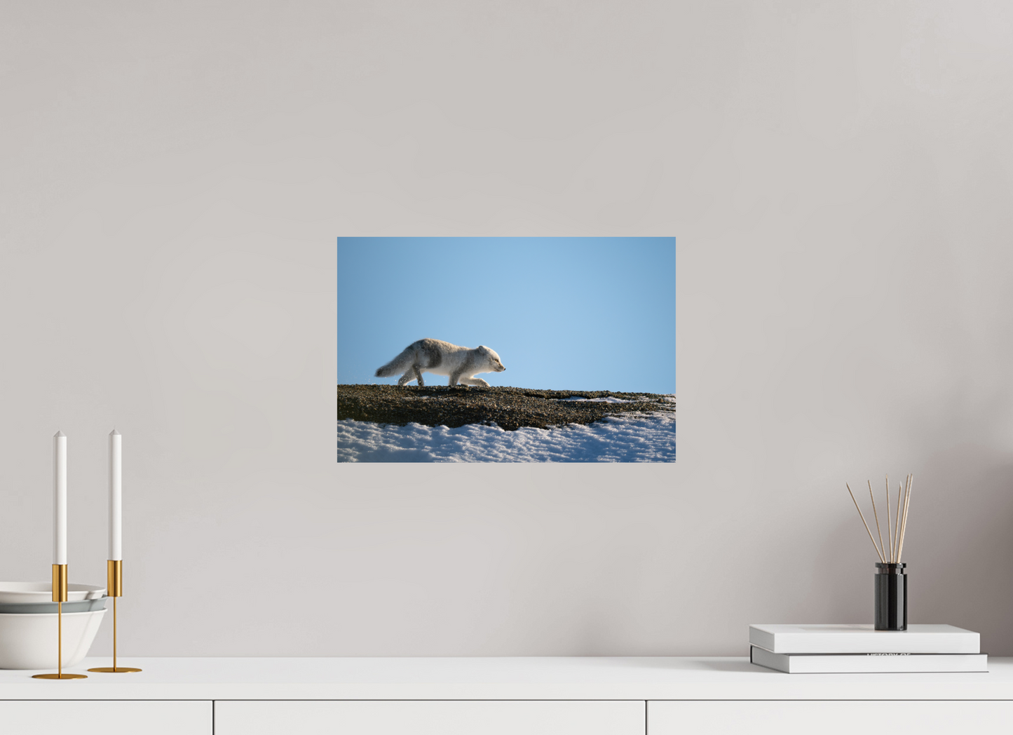 15 x 10″, Fine Art Print on Hahnemühle Baryta Arctic Fox on Ridge, 15x10