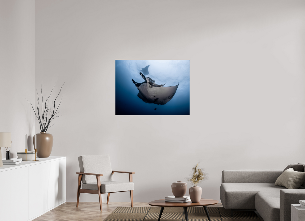 40 x 30″, Fine Art Print on Hahnemühle Baryta Manta Ray