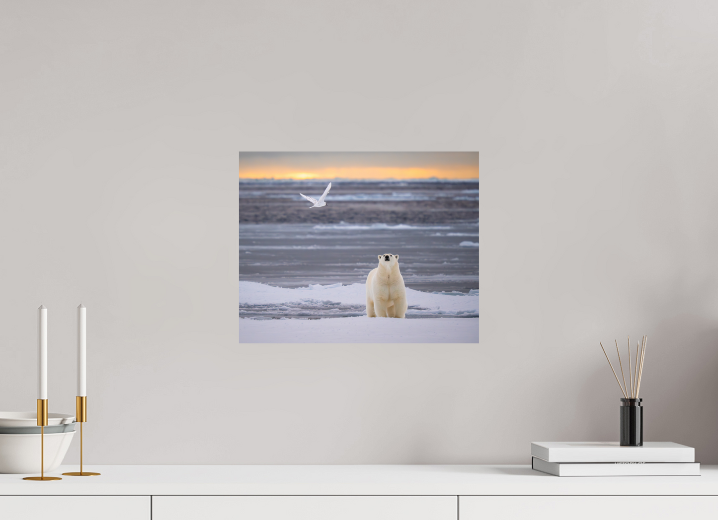 15 x 12″, Fine Art Print on Hahnemühle Baryta Polar Bear and Ivory Gull, 15x12